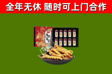 郁南回收冬虫夏草价格